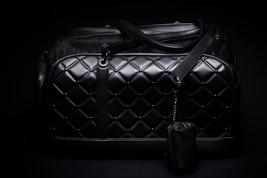 consideraciones clave diseñar bolso porta mascotas