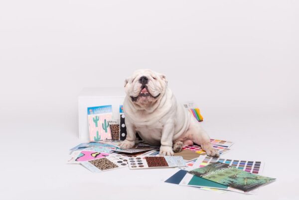 Los mejores materiales ropa mascotas