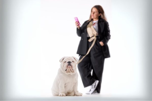 tendencias bolsos paseo perros walking bag